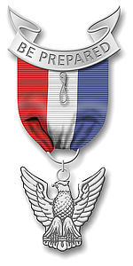 20081111192326_Eagle medal